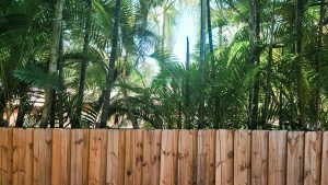 Building a fence within your property boundary. Timber boundary fence between two suburban properties in Queensland showing the property line and neighbouring yards.